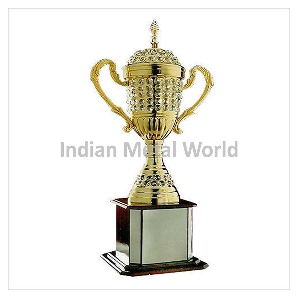Sports Trophy
